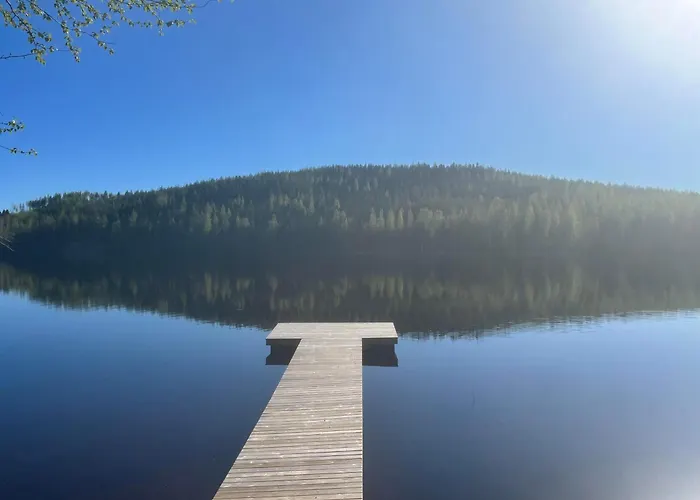 木屋 Saunamoekki Iltahurri, Laatulomat Telakanava